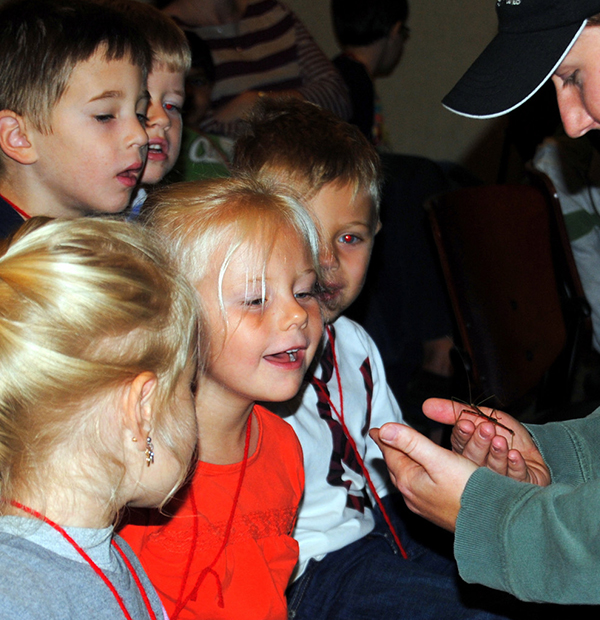 Young children watching animal presentation